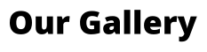 Our Gallery